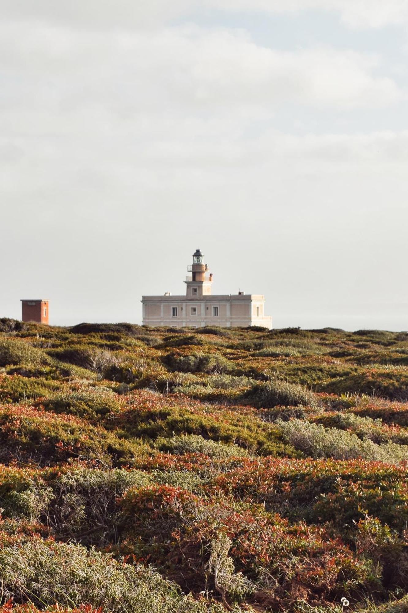 Tesori Del Sinis Villa Cabras Luaran gambar